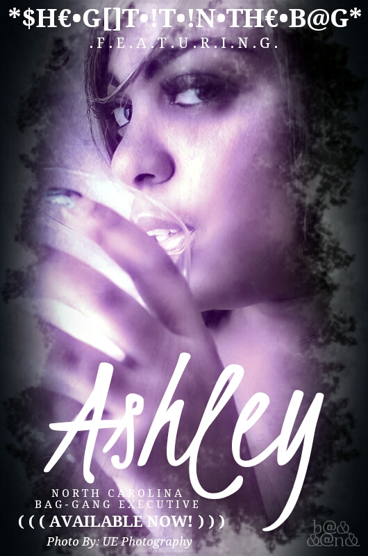 Ashley Bag-Gang Christmas (3)