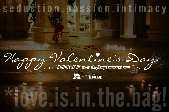 HAPPY VALENTINE'S DAY COURTESY OF BagGangExclusive.com *love.is.in.the.bag!